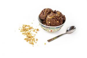 Coffee-Soft-Kibble-in-Chocolate-Ice-Cream-3-Scoop-Bowl-and-spoon-with-kibble-outside-bowl