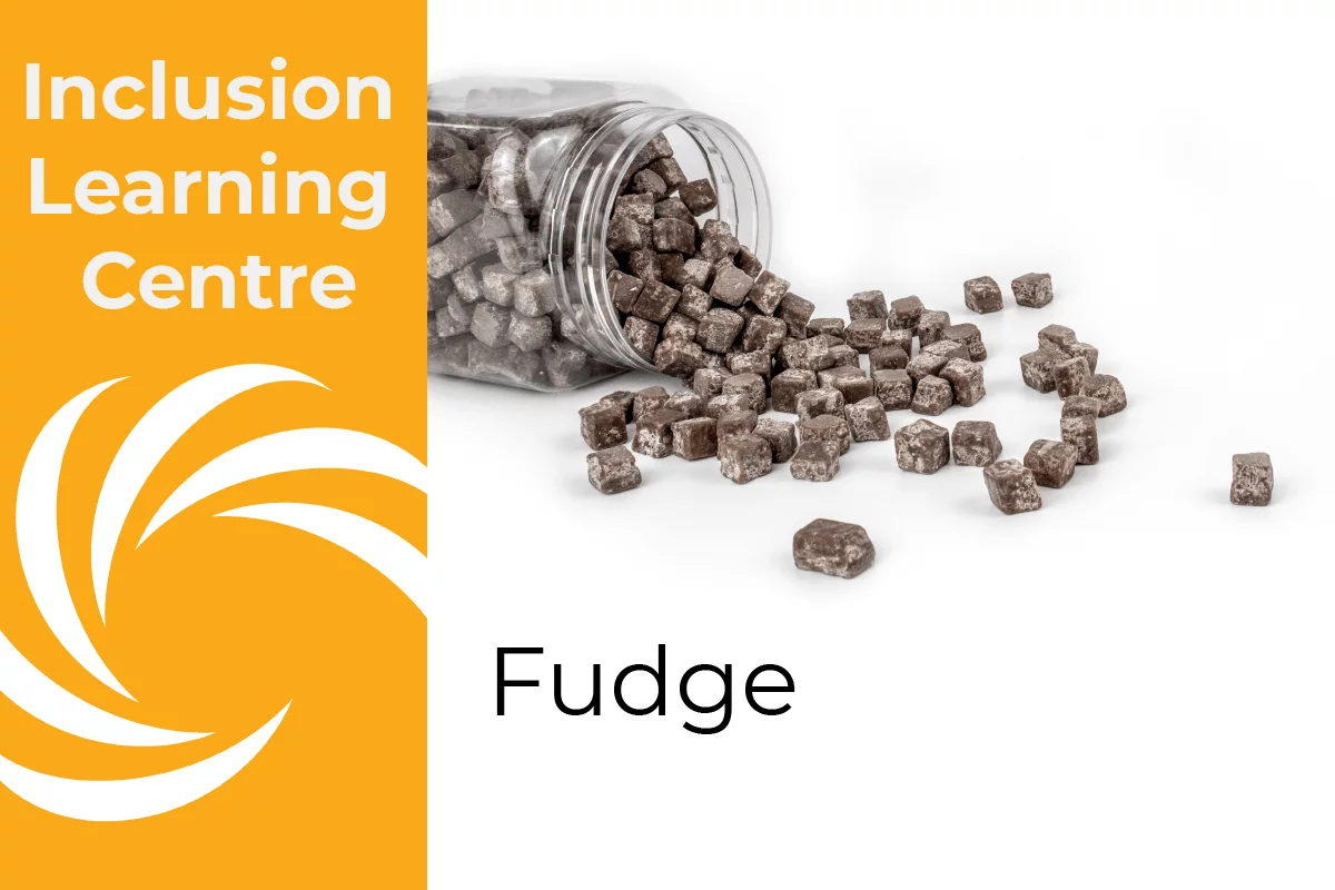 Inclusion Learning Centre E-Course Topic Header: Fudge - includes image of spilt jar of chocolate fudge cubes